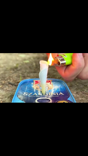 Camping skills #bushcraft #survival #camping #outdoors #forest