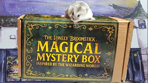 The Lonely Broomstick Magical Mystery Box Unboxing