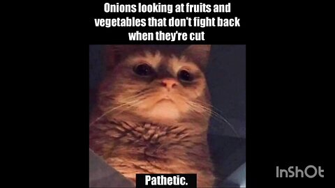 Onions looking at fruits and vegetables that don't fight back when they're