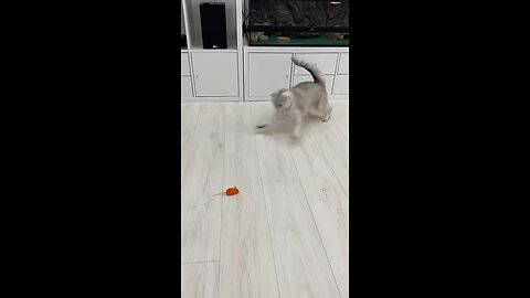 🤣🤣🤣