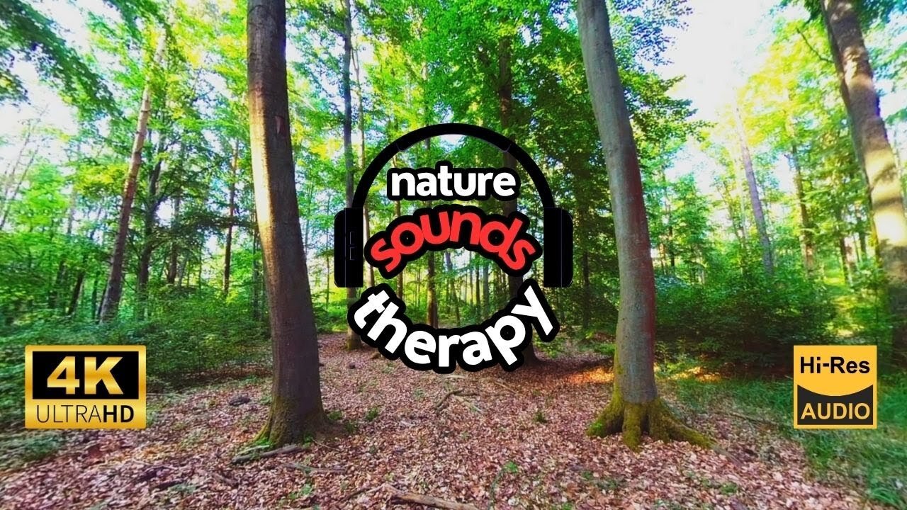 Forest and Birds- Pure Relaxation with Nature Sounds