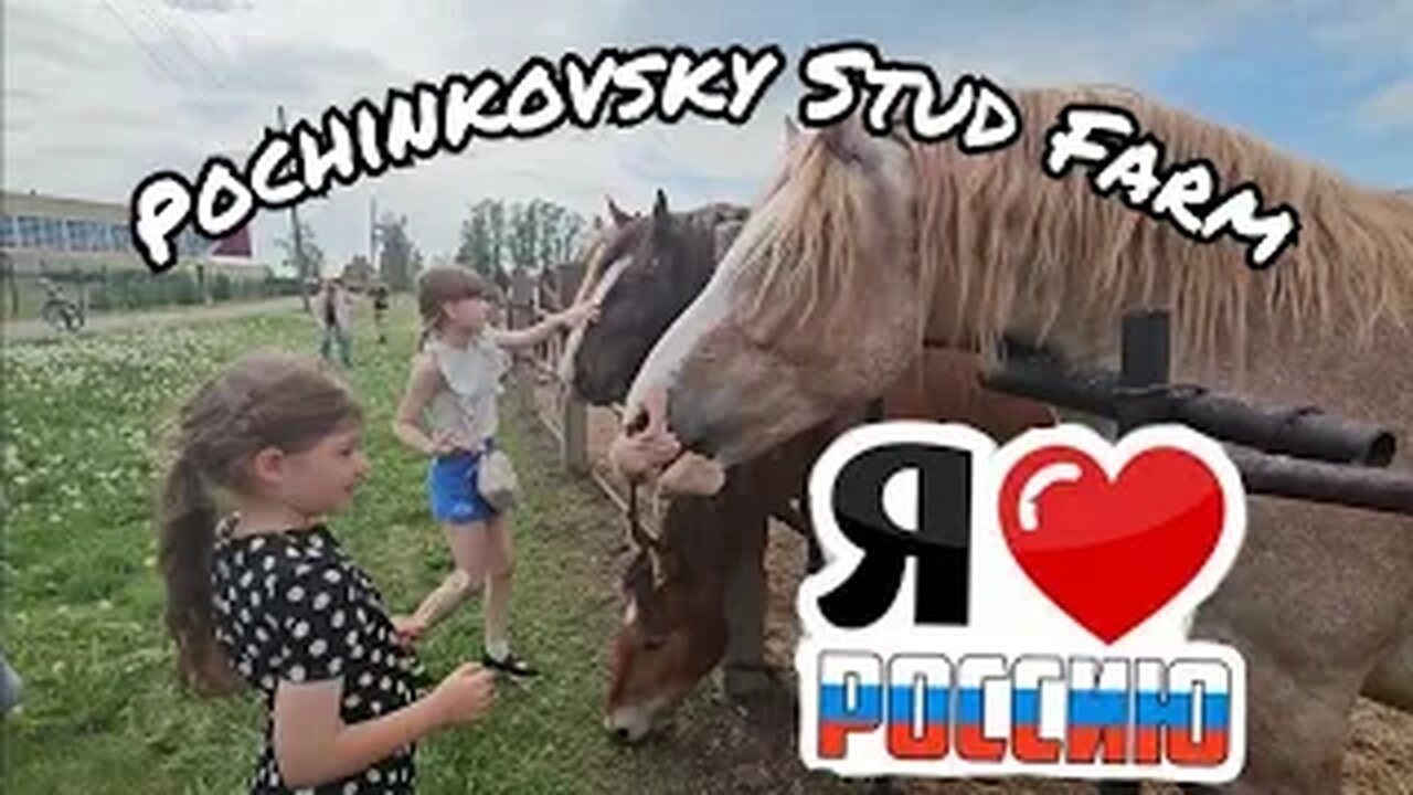 Soviet Draft Horses #58