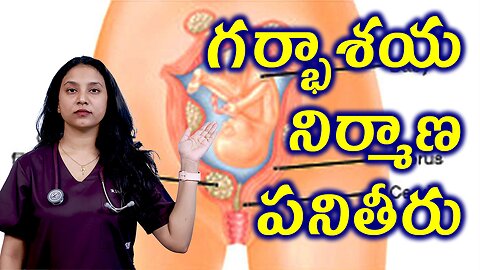 గర్భాశయ నిర్మాణ పనితీరు Structure of Uterus Related to Infertility due to Fibroids Homeopathy Cure