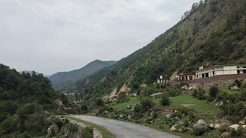 This is a very beautiful view my friends Forest में