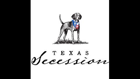 Texas Wants a Sovereign Wealth Fund? TNM's Crypto Stance Explained!