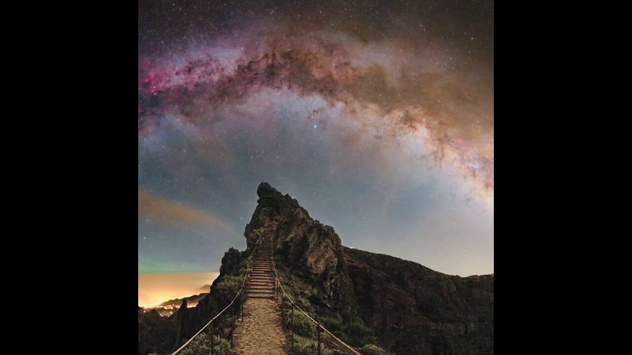 Snow Raven - WEB OF LIFE | Live at LUMA Festival x Mindscape Studio