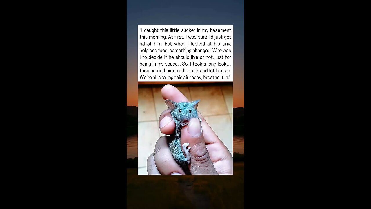 Man Spares Tiny Life In Basement