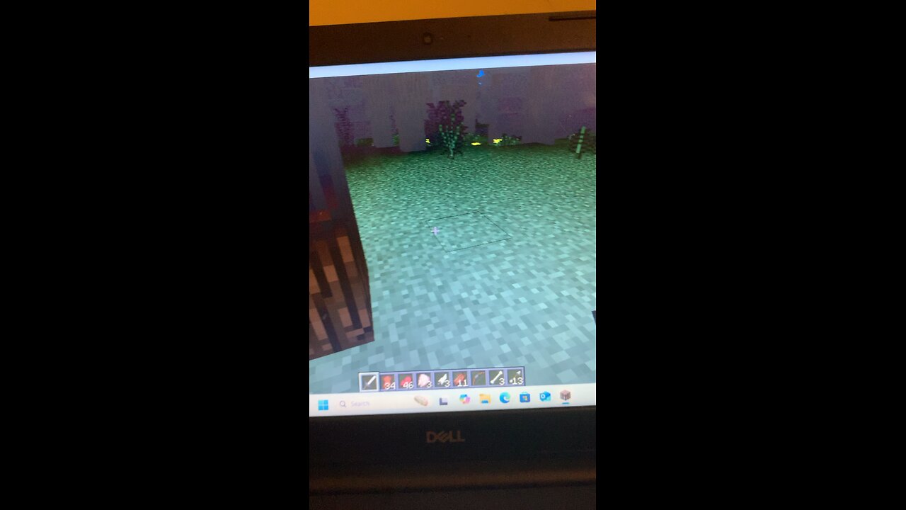 #playingminecraft