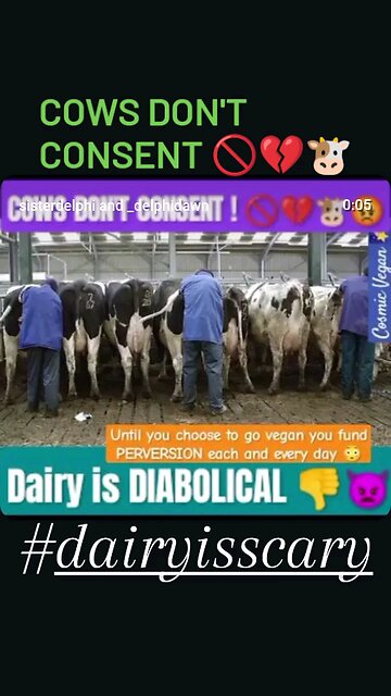 DIABOLICAL 🚫🐮🫣👿