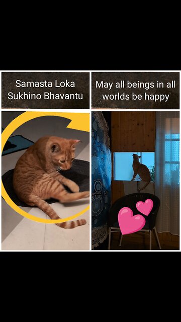 May all beings in all worlds be happy