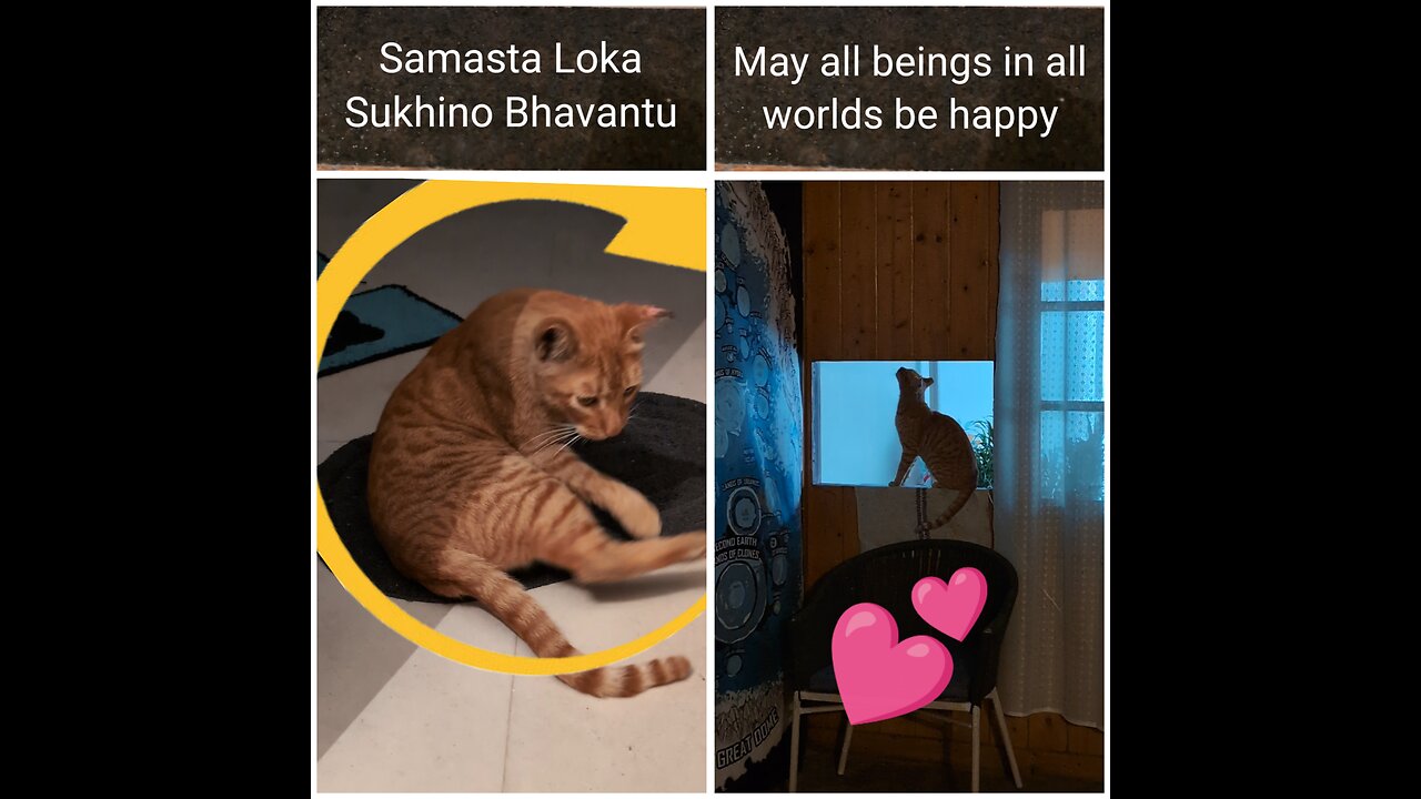May all beings in all worlds be happy
