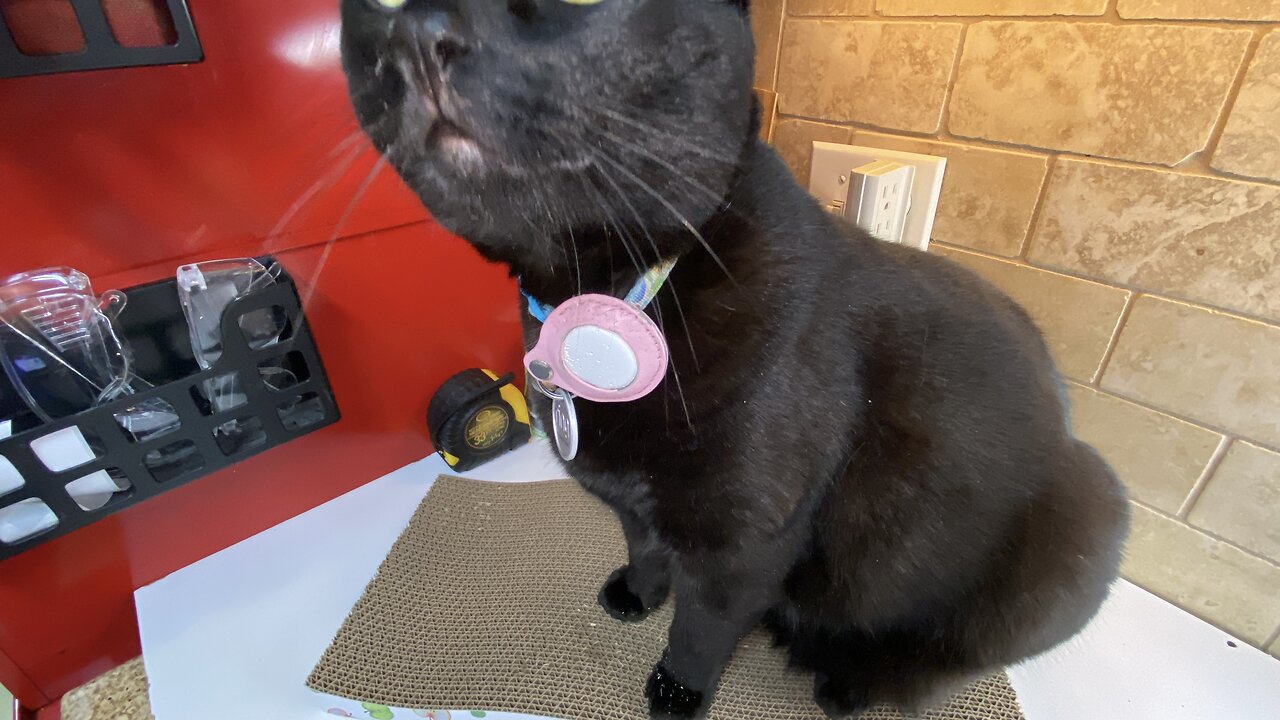 Cat Scratching Board Corrugate Scratcher Indoor Cats Scratch Pad Premium Cardboard Double-Sided