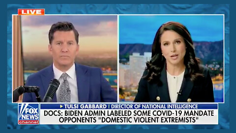 Biden Admin Labeled Some Americans 'Domestic Violent Extremists' For Challenging Covid Mandates