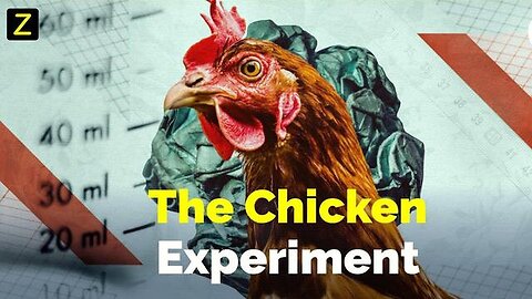 "Unleashing Potential: The Impact of Three Chickens in Every Household – An Experiment"