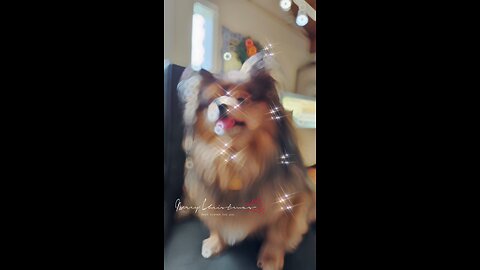 🎄Merry Christmas & Happy New Year!🎄