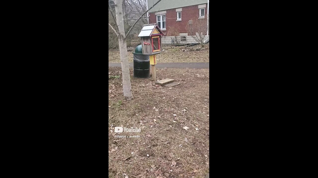 Moving On Up To The Mini Library
