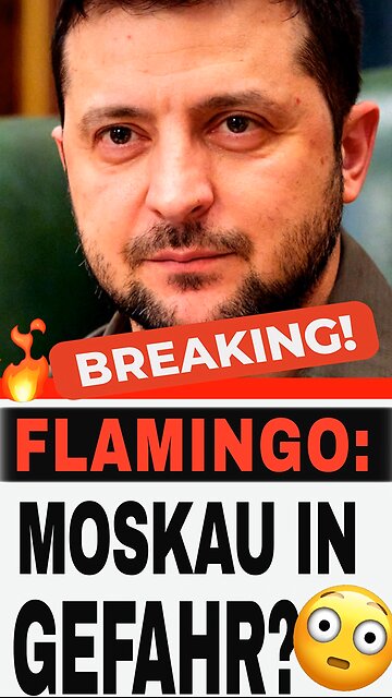 Bis Moskau? Wie Flamingo & Ljuti den Ukraine-Konflikt verändern 😱🔥