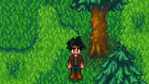 Tranquil Forest 🌲💤