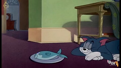 Tom and Jerry Cartoons