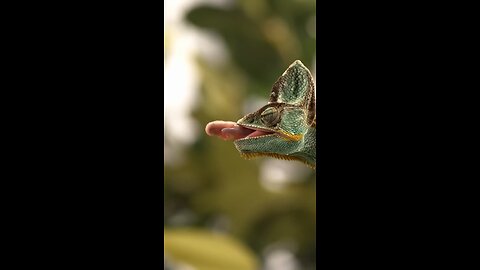 Nature beauty 01
