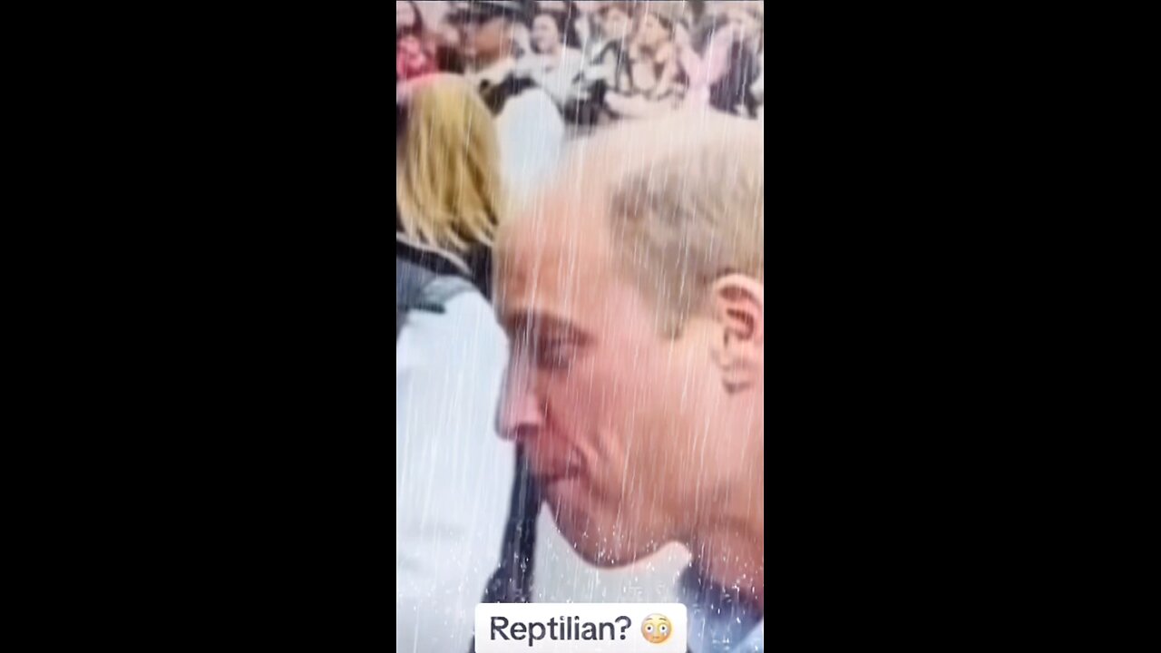Prince William lizard
