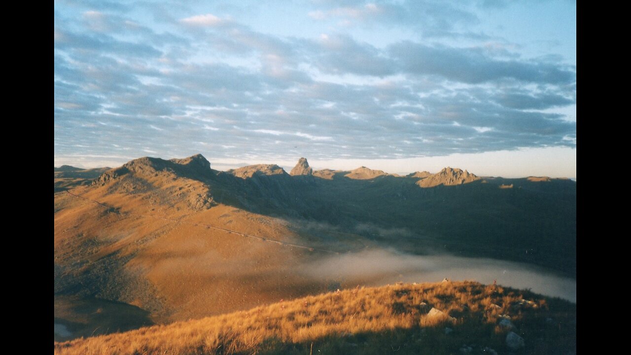 Viaje seguro