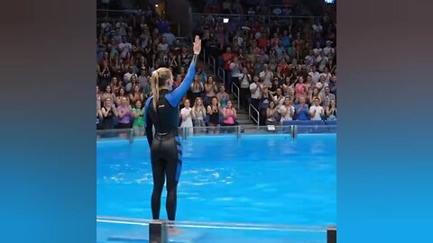 jessica radcliffe orca attack,last moment before her death
