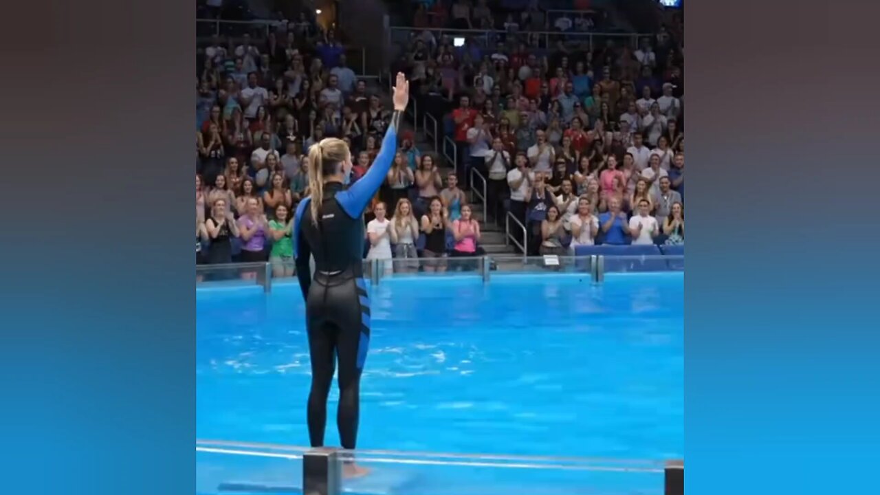 jessica radcliffe orca attack,last moment before her death