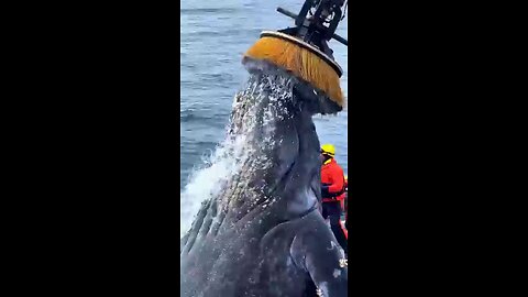 Funny videos you ever seen💖👍