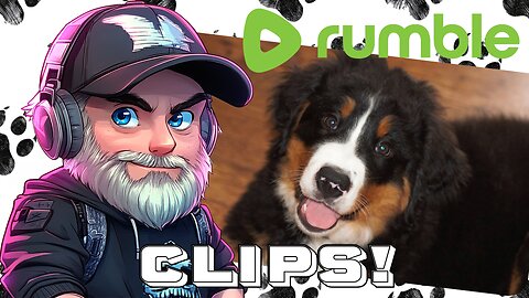 Poppy's Hydro Journey - #Bernese Mountain Dog #BMD #cutedog | Week 3#RumbleClips