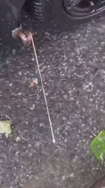 That’s a good old fashioned curb, filler