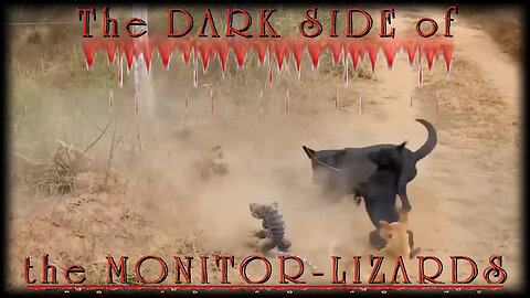 The DARK SIDE of the MONITOR-LIZARDS