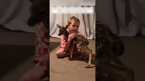 The man checked the precinct and found three deer