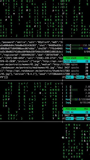 क्या आप यह जानते हैं Coding Fact