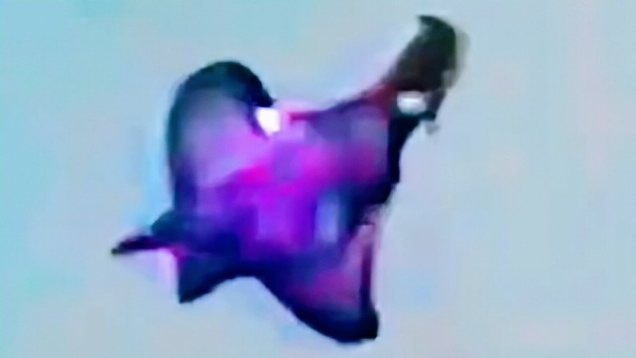 A Sea Creature...but in the Sky???