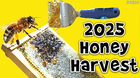 2025 Honey Harvest | Natures Reward