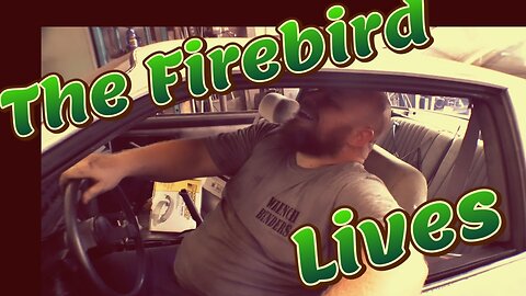 The Fire Pigeon Lives!...Kinda