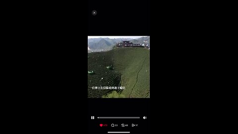 This is Xiaoyu's concert at the Tea Culture Festival.