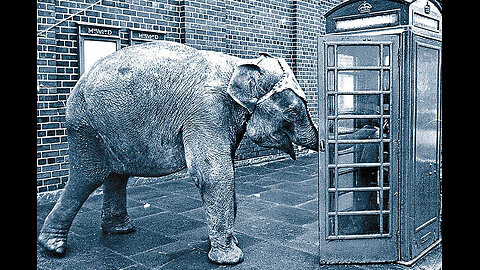 Eletelephony (poem into Song) Lyrics by Laura Elizabeth Richards