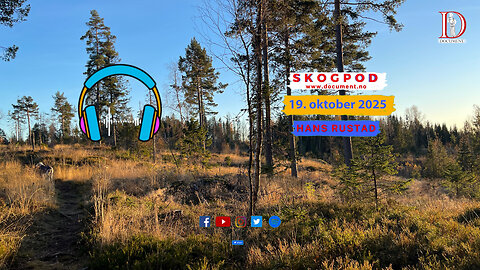 Skogpod 19. oktober 2025