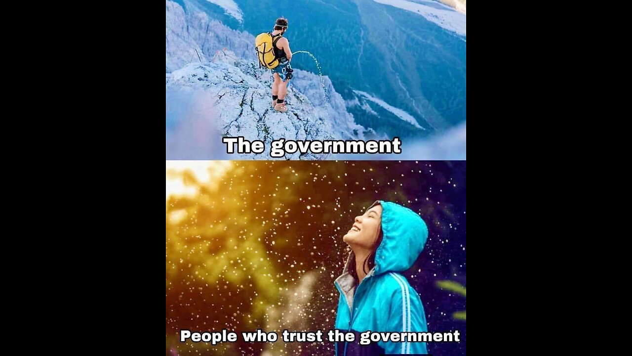 His masters record dog barking in a record deck wind up