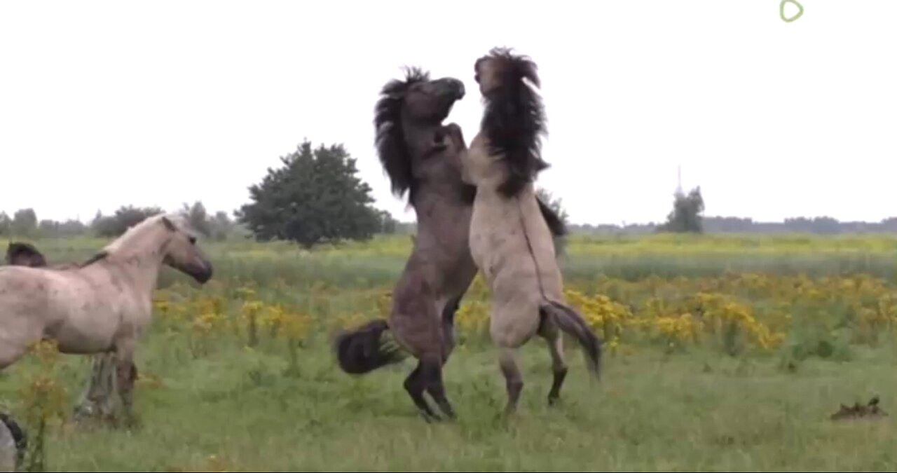 BECOMING A PATIENT PERSON - DAILY DEVOTIONAL ❤️