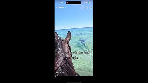 Western Australia. Miraculous, yes or no? Original content by Facebook, My Pilbara Equestrian, 6-14