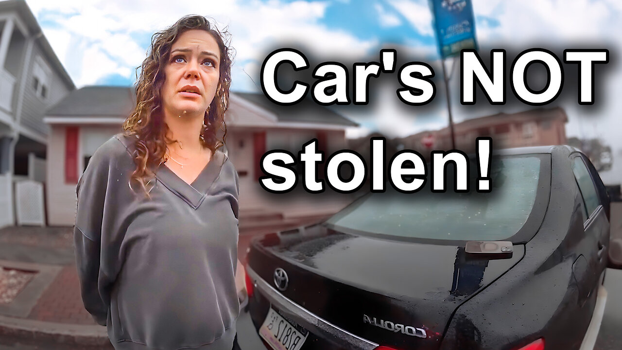 The Most Insane Traffic Stops You'll Ever See