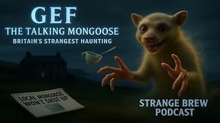 GEF the Talking Mongoose | The Most Bizarre & Hilarious Haunting!