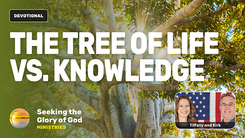No Trees with Both Attributes of The Tree of Life vs Knowledge - Tiffany Root & Kirk VandeGuchte