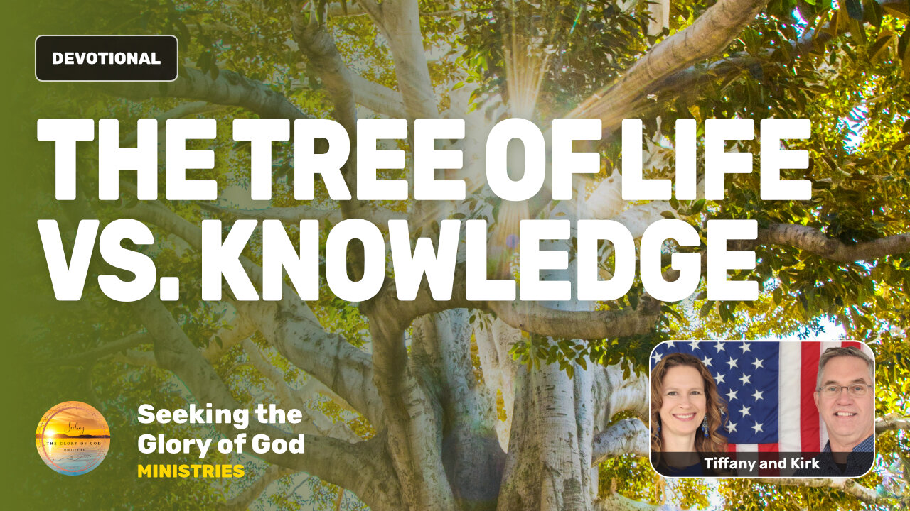 No Trees with Both Attributes of The Tree of Life vs Knowledge - Tiffany Root & Kirk VandeGuchte