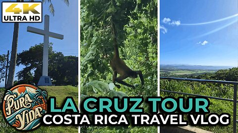 Tour La Cruz, Costa Rica 🐒 Great Views Of Bahia Salinas & See A Monkey! #travel #costarica