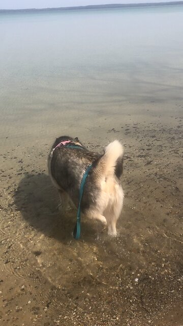 Sunday April 13, How can I know all the sins looking in my heart?