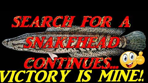 SEARCH FOR A SNAKEHEAD...VICTORY IS MINE!!!